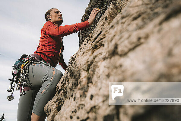 A woman in a red shirt rock climbing on a sunny day.