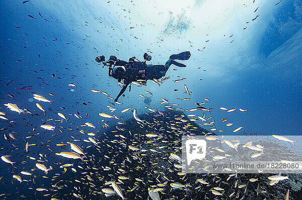 Photographer exploring a reef at the gulf of Thailand close to Koh Tao