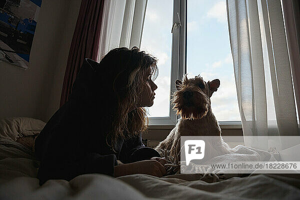 A girl and a funny dog in front of the window.