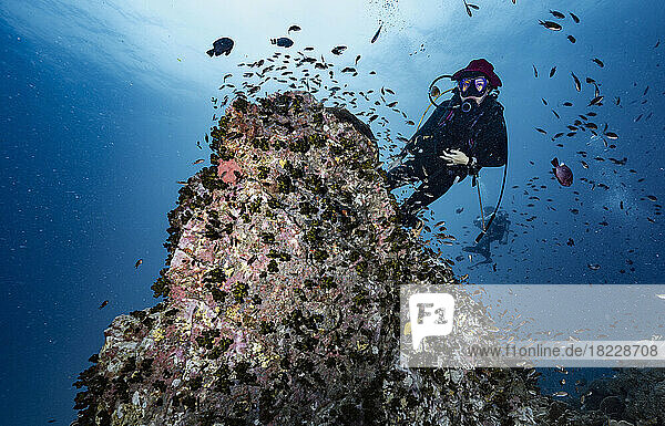 Diver exploring a reef at the gulf of Thailand close to Koh Tao