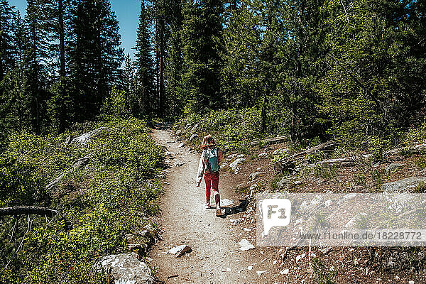 Young girl hiking up a trail in a forest