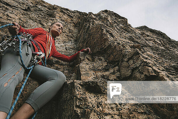 A woman in a red shirt rock climbing on a sunny day.