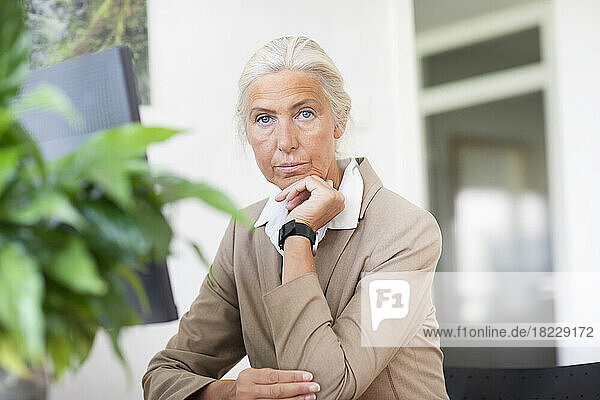 Portrait of mature businesswoman sitting at desk in office