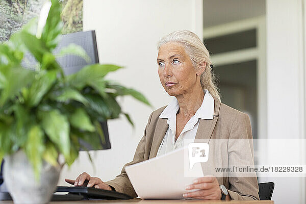 Mature businesswoman using computer in office