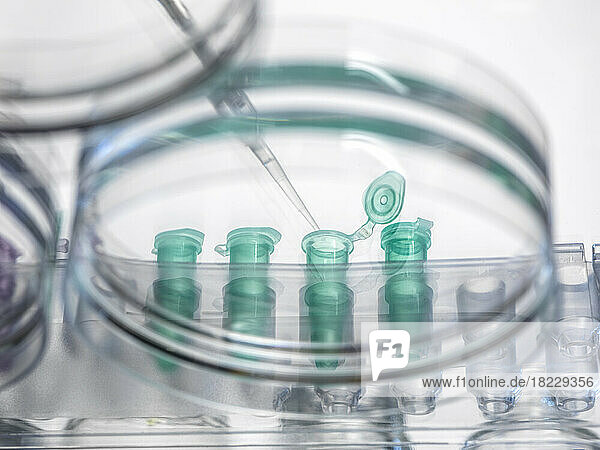 Close-up of petri dish test tubes and pipette in laboratory