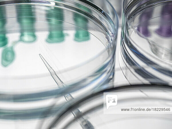 Close-up of petri dish test tubes and pipette in laboratory