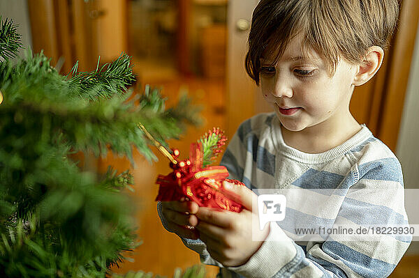 Boy looking at bell hanging on Christmas tree