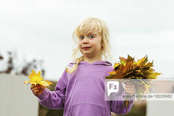 Cute blond girl holding autumn leaves