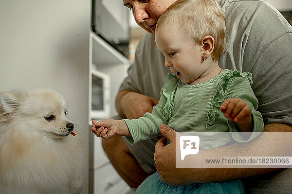 Father with cute daughter feeding dog at home