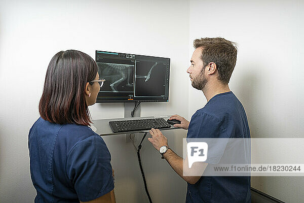 Veterinarians examining x-ray image on computer at clinic