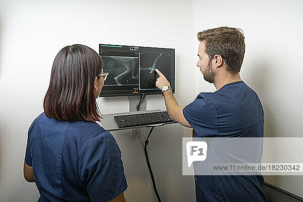 Veterinarian with colleague examining x-ray image on computer at clinic