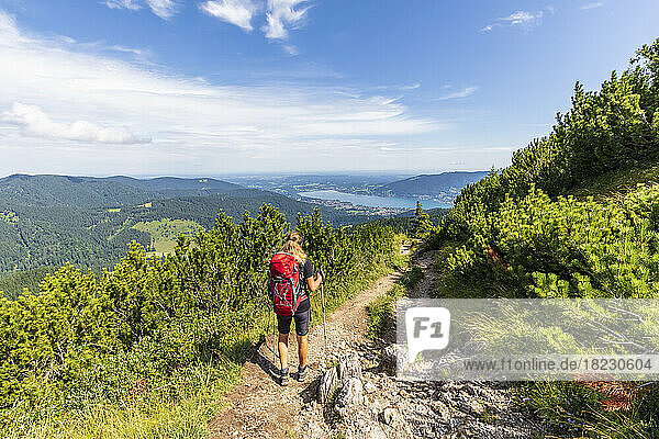 Germany  Bavaria  Female hiker descending Hirschberg mountain