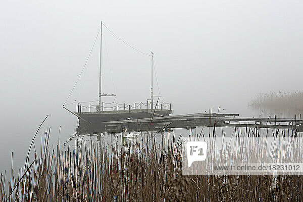 Sailboat moored on shore of foggy lake