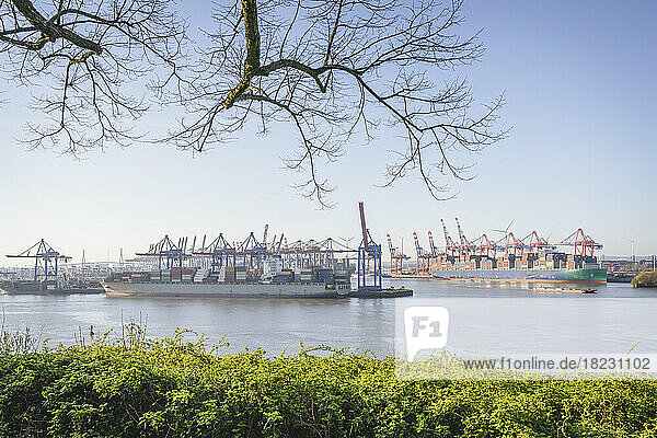 Germany  Hamburg  View of Port of Hamburg filled with harbor cranes