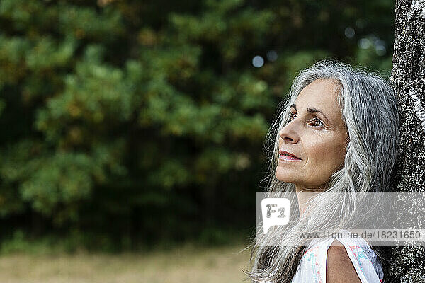 Thoughtful woman with gray hair leaning on tree trunk at forest