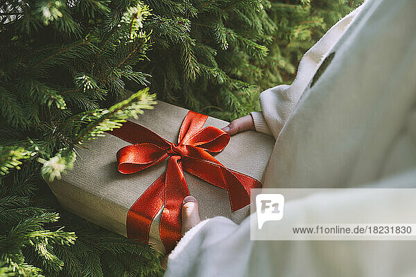Girl holding gift box tied with ribbon near fir tree