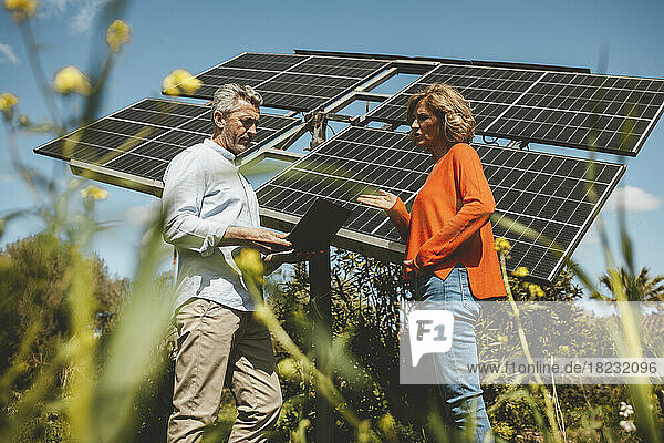 Mature man and woman discussing over solar panels in garden