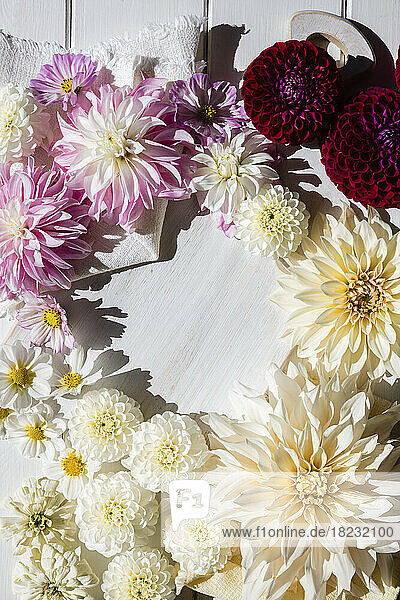 Studio shot of heads of various blooming flowers