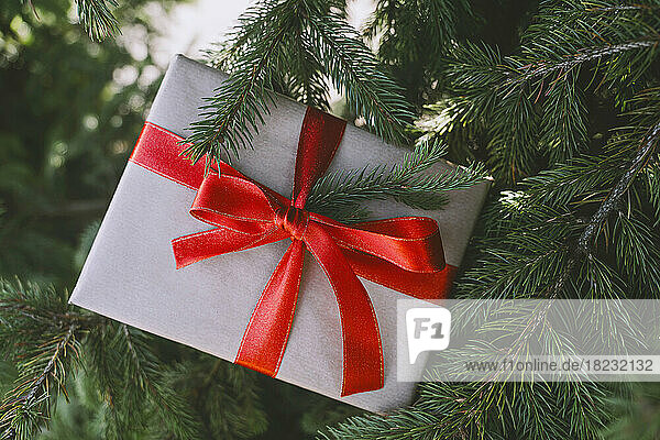 Weihnachtsgeschenkbox mit roter Schleife am Tannenbaum gebunden