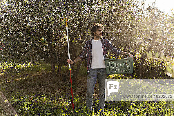 Man holding gardening tool and plastic crate in front of tree