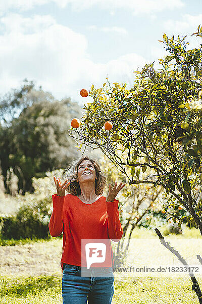 Happy woman juggling oranges standing by tree in garden