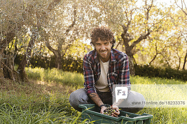 Lächelnder Mann hält Oliven vor Kiste im Obstgarten