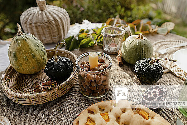 Pumpkin pie  raw pumpkins and jar with hazelnuts lying on outdoor table