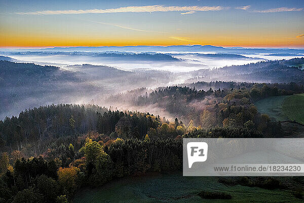 Germany  Baden-Wurttemberg  Drone view of Haselbachtal valley at foggy autumn dawn