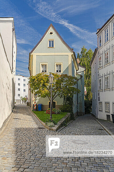 Germany  Bavaria  Passau  Single tree in middle of Klosterwinkel alley