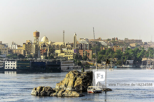 Egypt  Aswan Governorate  Aswan  Islet in Nile river with city buildings in background