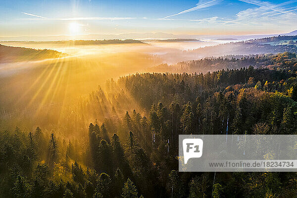 Germany  Baden-Wurttemberg  Drone view of Haselbachtal valley at foggy autumn sunrise