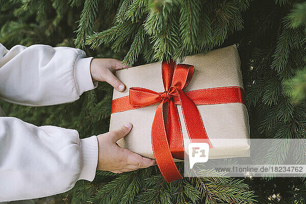 Girl holding gift box with red ribbon on fir tree