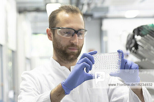 Scientist examining multiwell plate in laboratory
