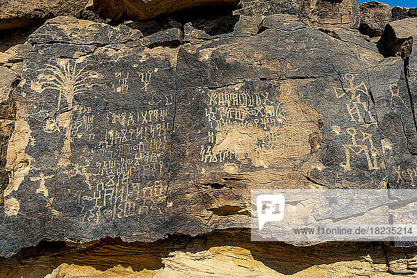 Saudi Arabia  Najran Province  Najran  Prehistoric petroglyphs and inscriptions of Bir Hima