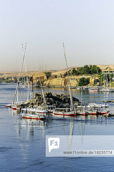 Egypt  Aswan Governorate  Aswan  Sailboats moored around small islet in Nile river