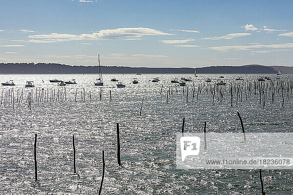 France  Nouvelle-Aquitaine  Lege-Cap-Ferret  Coastal poles in Arcachon Bay with boats floating in background