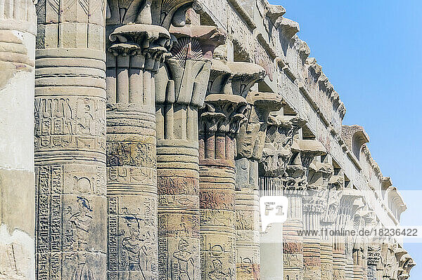 Egypt  Aswan Governorate  Aswan  Colonnade in Temple of Philae