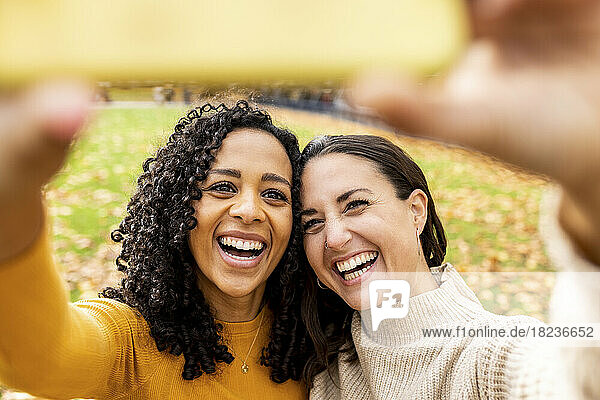 Glückliche Frauen mit einer Freundin  die im Park ein Selfie mit dem Smartphone macht