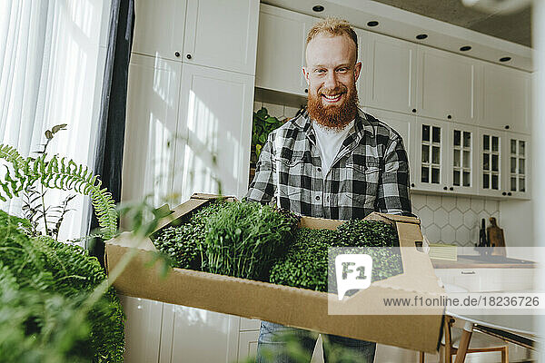 Glücklicher Mann steht mit einer Schachtel frischer Microgreens in der Küche