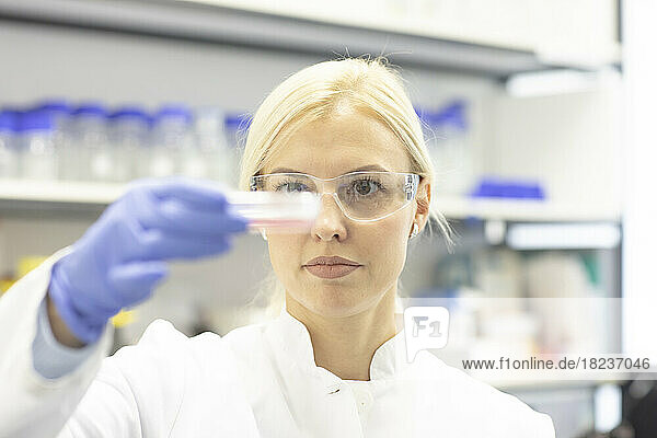 Scientist wearing protective eyeglasses examining medical sample at laboratory