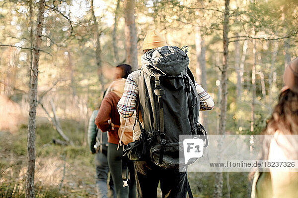 Rear view of man walking with friends while hiking in forest