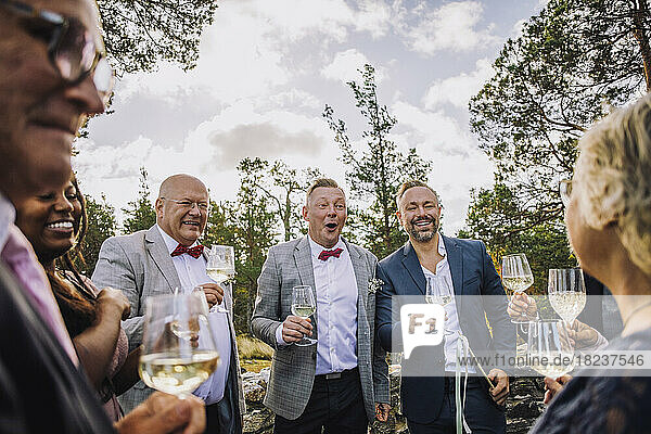 Glückliches schwules Paar mit Freunden  die Weingläser halten  bei einer Hochzeit