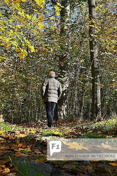Wanderung durch einen Park im Spätherbst  November  Deutschland  Europa