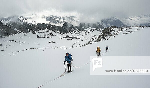 Ski tourers walking on the rope on the glacier in winter in the mountains  Alpeiner Ferner  Oberbergtal  Neustift im Stubai Valley  Tyrol  Austria  Europe