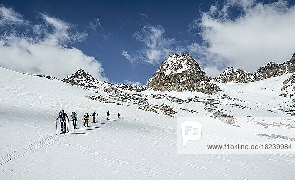 Group of ski tourers in winter in the mountains  Neustift im Stubai Valley  Tyrol  Austria  Europe