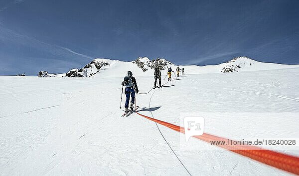 Ski tourers on the ascent with rope on the glacier  mountains in winter with snow  Stubai Alps  Tyrol  Austria  Europe
