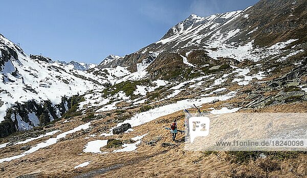 Skitourengeher wandern im Frühling mit wenig Schnee  Neustift im Stubaital  Tirol  Österreich  Europa