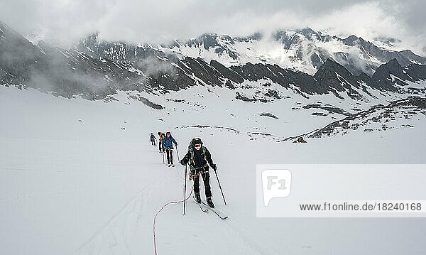 Ski tourers walking on the rope on the glacier in winter in the mountains  Alpeiner Ferner  Oberbergtal  Neustift im Stubai Valley  Tyrol  Austria  Europe