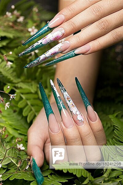 Lange schöne Maniküre mit Blumen auf weiblichen Fingern. Nägel Design. Nahaufnahme