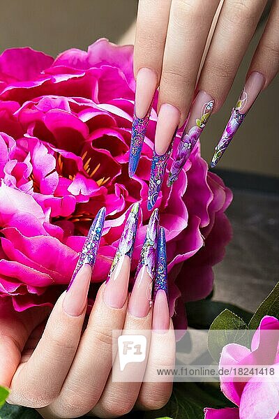 Lange schöne Maniküre mit Blumen auf weiblichen Fingern. Nägel Design. Nahaufnahme. Bild im Studio auf einem weißen Hintergrund aufgenommen